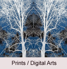 Prints / Digital Arts